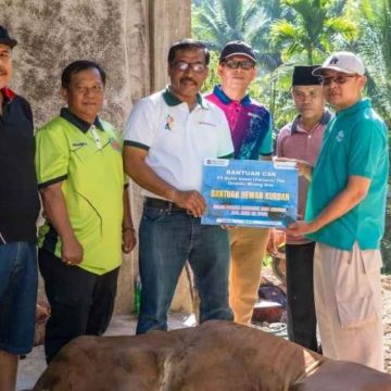 WEBSITE - 2026-05-29T103604.809 PTBA bantu hewan kurban untuk warga di Sawahlunto