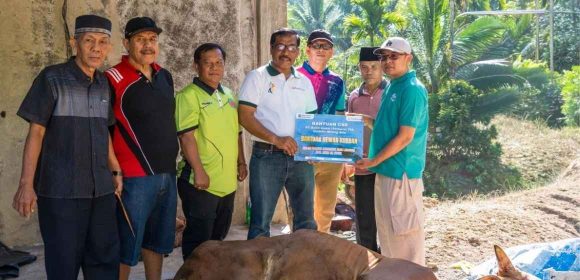 WEBSITE - 2026-05-29T103604.809 PTBA bantu hewan kurban untuk warga di Sawahlunto