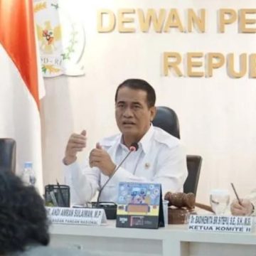 Mentan: Pembangunan infrastruktur pascapanen perkuat pangan nasional