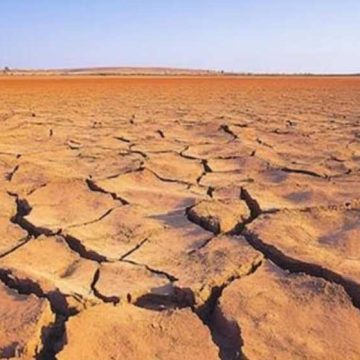 WEBSITE - 2026-06-22T120708.519 El Nino Godzila, Pakar UGM Ingatkan Risiko Gagal Panen dan Krisis Air