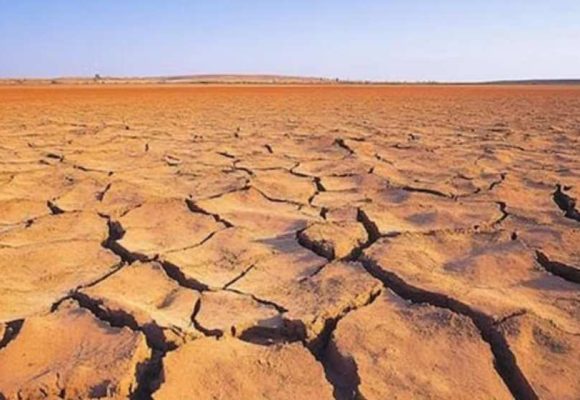 WEBSITE - 2026-06-22T120708.519 El Nino Godzila, Pakar UGM Ingatkan Risiko Gagal Panen dan Krisis Air