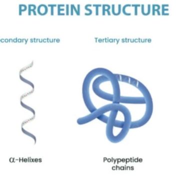 WEBSITE - 2026-06-24T100321.252 Protein Tubulin Berpotensi Hentikan Alzheimer dan Parkinson