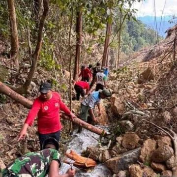 Tangani dampak gempa, BNPB perbaiki infrastruktur darurat di Sigi