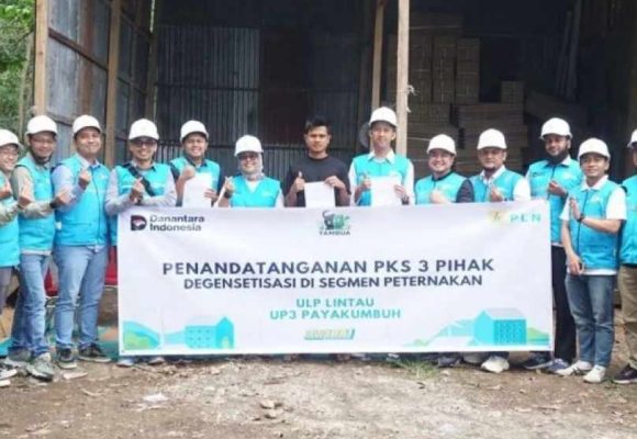 PKS 3 Pihak Segmen Peternakan dan Pakan Ternak Resmi Ditandatangani, PLN Perluas Pemanfaatan Listrik untuk Usaha Produktif