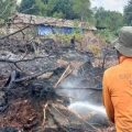 BNPB: Tidak ada korban jiwa akibat karhutla di Aceh, Jabar, dan Jateng