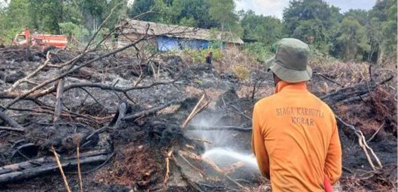 WEBSITE - 2026-06-30T083117.204 BNPB: Tidak ada korban jiwa akibat karhutla di Aceh, Jabar, dan Jateng