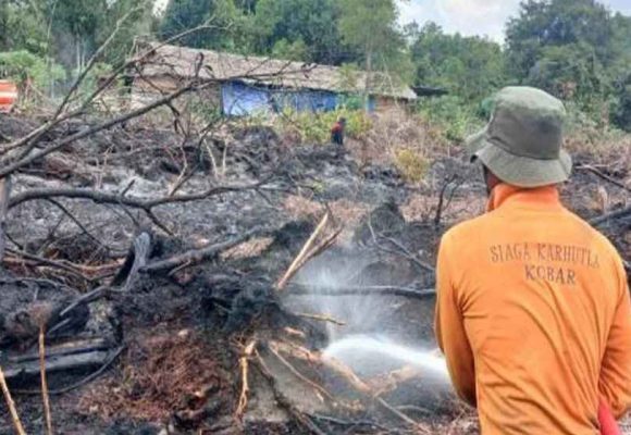 BNPB: Tidak ada korban jiwa akibat karhutla di Aceh, Jabar, dan Jateng