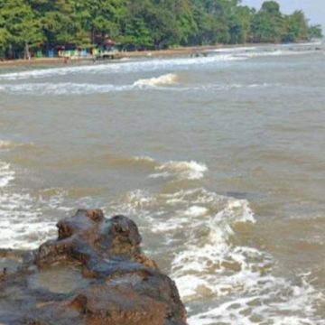 Banjir Rob Pantura dan Peringatan Dini Karhutla di Jawa Tengah