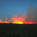 800 Hektare Hutan Fontainebleau di Paris Hangus Terbakar, Penerbangan Pemadam Dikerahkan