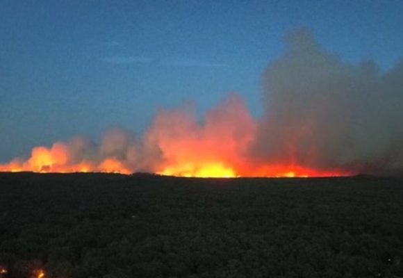 WEBSITE - 2026-07-13T092231.015 800 Hektare Hutan Fontainebleau di Paris Hangus Terbakar, Penerbangan Pemadam Dikerahkan