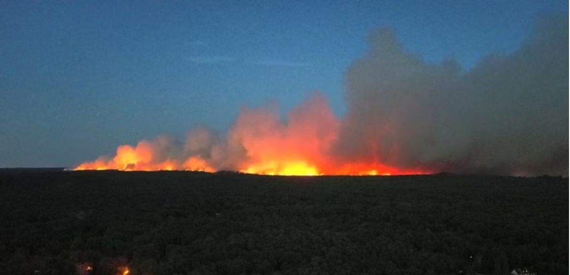 WEBSITE - 2026-07-13T092231.015 800 Hektare Hutan Fontainebleau di Paris Hangus Terbakar, Penerbangan Pemadam Dikerahkan