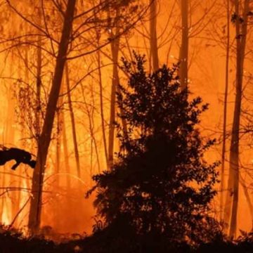 WEBSITE - 2026-07-27T090221.923 375 Ribu Warga Didesak Mengungsi Dampak Kebakaran Hutan Prancis dan Spanyol