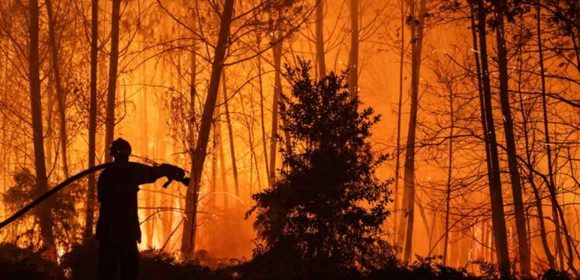 WEBSITE - 2026-07-27T090221.923 375 Ribu Warga Didesak Mengungsi Dampak Kebakaran Hutan Prancis dan Spanyol