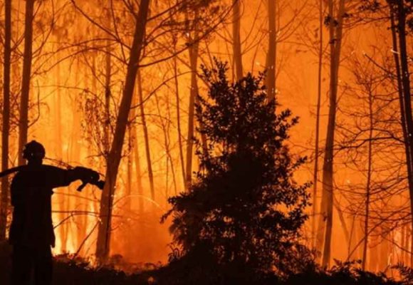 375 Ribu Warga Didesak Mengungsi Dampak Kebakaran Hutan Prancis dan Spanyol