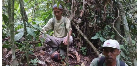 WEBSITE - 2026-07-27T094204.074 Lokasi sebaran rafflesia ke 19 di Agam ditemukan