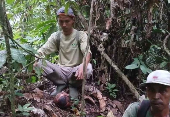 Lokasi sebaran rafflesia ke 19 di Agam ditemukan