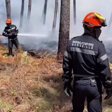 WEBSITE - 2026-07-30T093601.310 Perjuangan Melawan Kebakaran Hutan Gironde: Saat Relawan dan Pemadam Taruh Nyawa