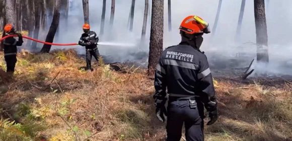 Perjuangan Melawan Kebakaran Hutan Gironde: Saat Relawan dan Pemadam Taruh Nyawa