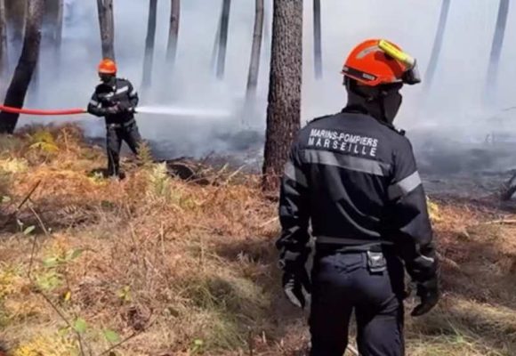 WEBSITE - 2026-07-30T093601.310 Perjuangan Melawan Kebakaran Hutan Gironde: Saat Relawan dan Pemadam Taruh Nyawa