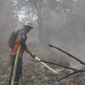 469 Titik Api Terdeteksi, Kabut Asap Mulai Ganggu Jalan dan Sekolah