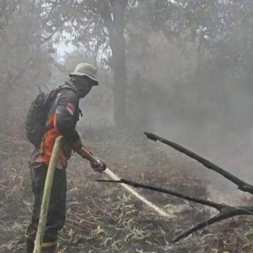 469 Titik Api Terdeteksi, Kabut Asap Mulai Ganggu Jalan dan Sekolah