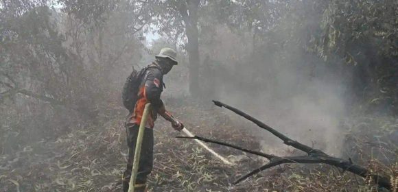 WEBSITE (3) 469 Titik Api Terdeteksi, Kabut Asap Mulai Ganggu Jalan dan Sekolah