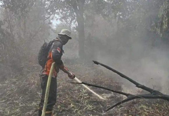 WEBSITE (3) 469 Titik Api Terdeteksi, Kabut Asap Mulai Ganggu Jalan dan Sekolah