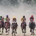 Indonesia’s Horse Racing Bawa Pacuan Kuda Indonesia Menuju Panggung Dunia