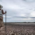 BRIN Waspadai Potensi Super El Nino 2026-2027 dan Kekeringan Panjang