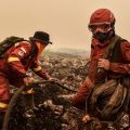 Singapura Ungkap 10 Perusahaan Indonesia terkait Karhutla