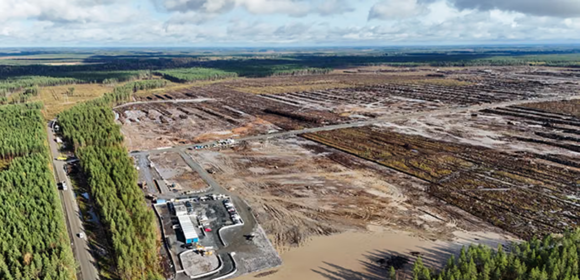 WEBSITE (45) Babat 300 Hektare Hutan, Pembangunan Data Center Google di Finlandia Ditangguhkan