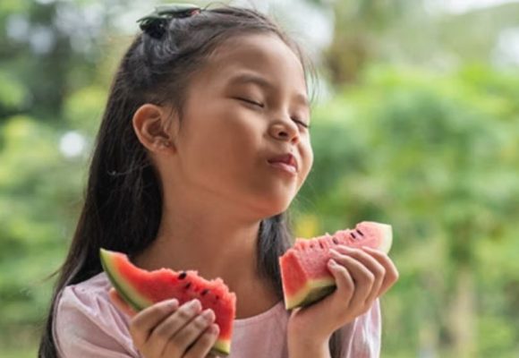 WEBSITE (7) Pentingnya Asupan Serat untuk Kesehatan Pencernaan dan Regulasi Emosi Anak